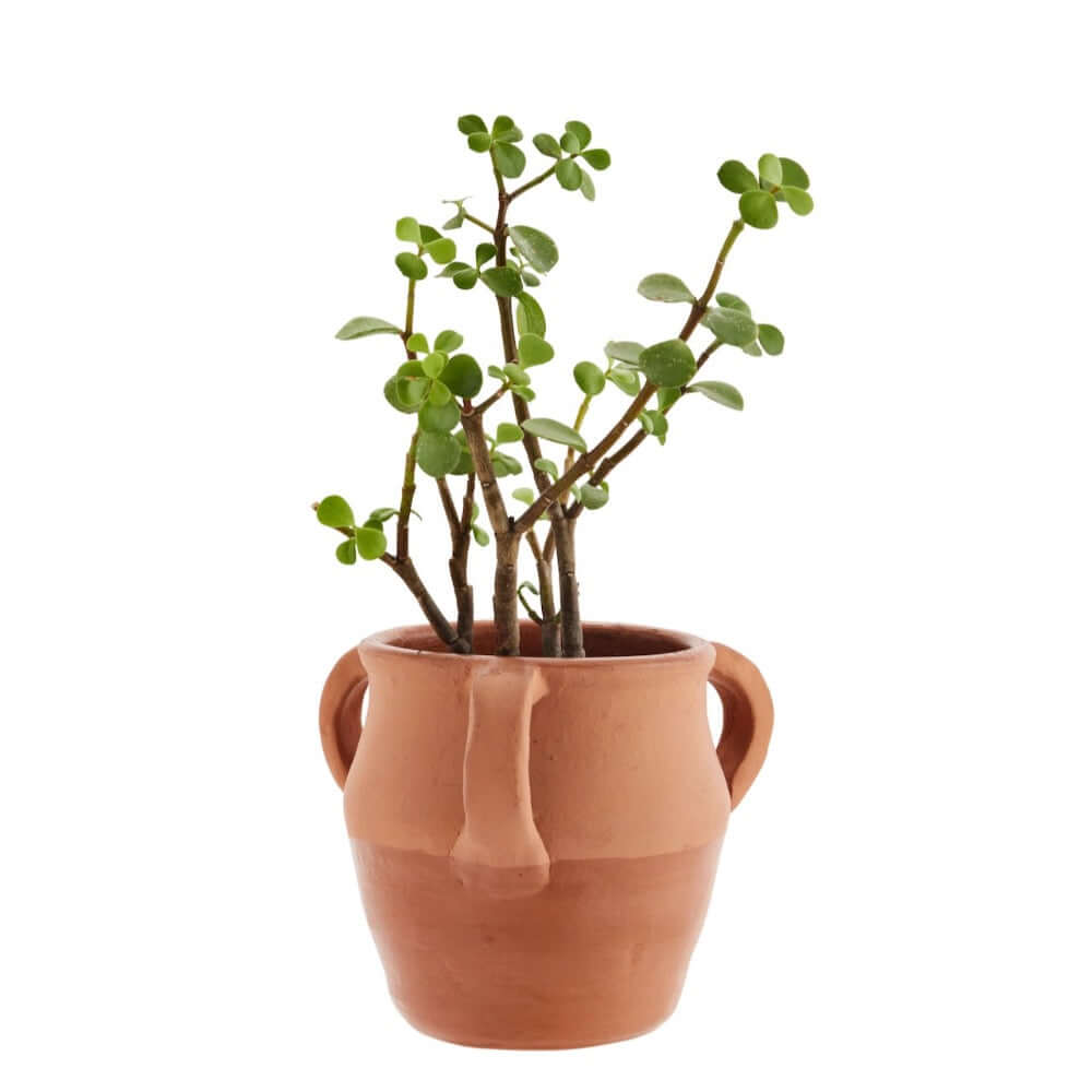 Vases & Pots at Mayala Home. Handmade, unique & fair