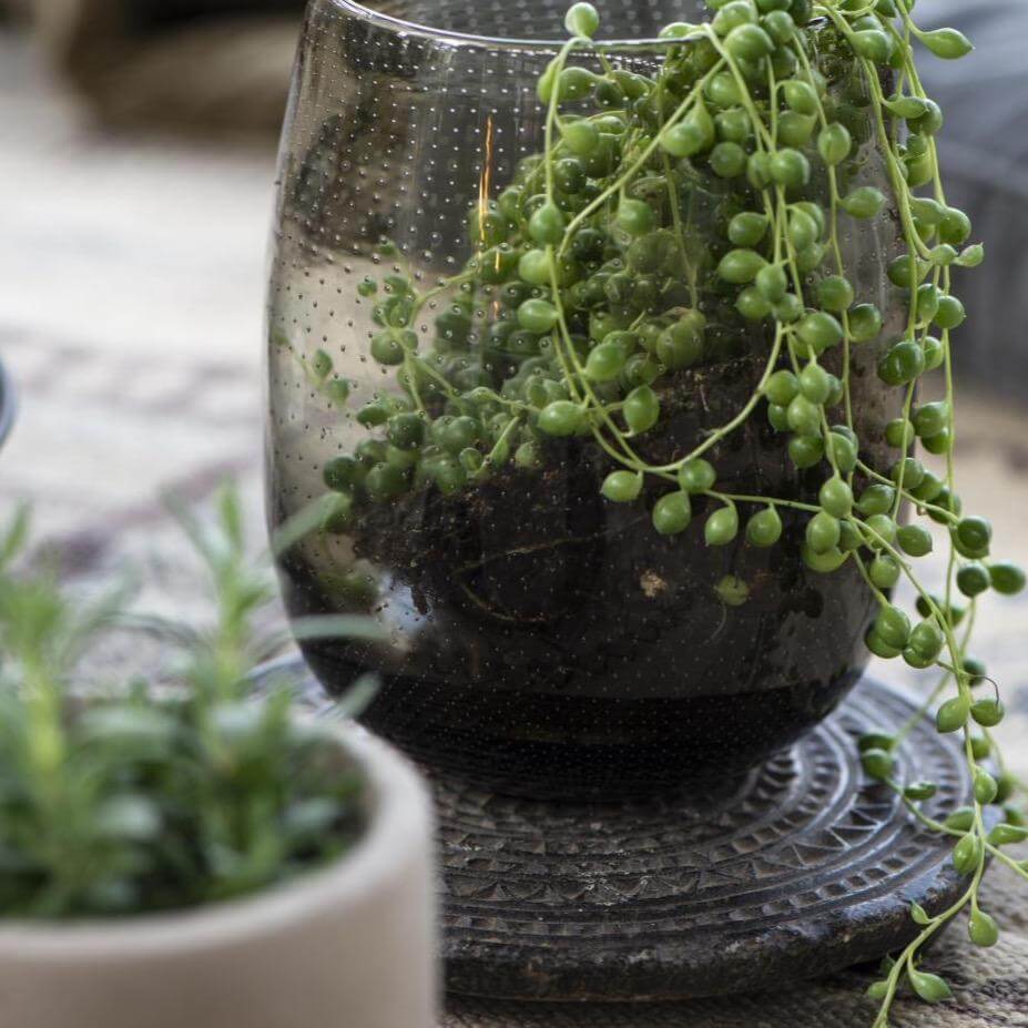 Black Stone Coaster India IbLaursen