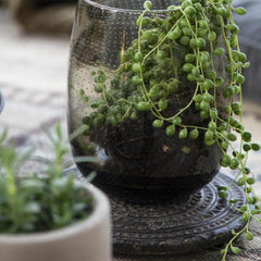 Black Stone Coaster India IbLaursen