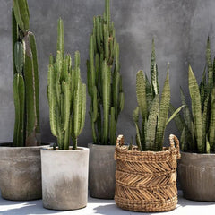 Bazar Bizar banana zigzag basket L