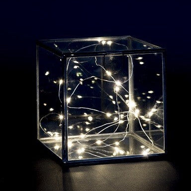 Boîte en verre avec guirlandes lumineuses à l'extérieur