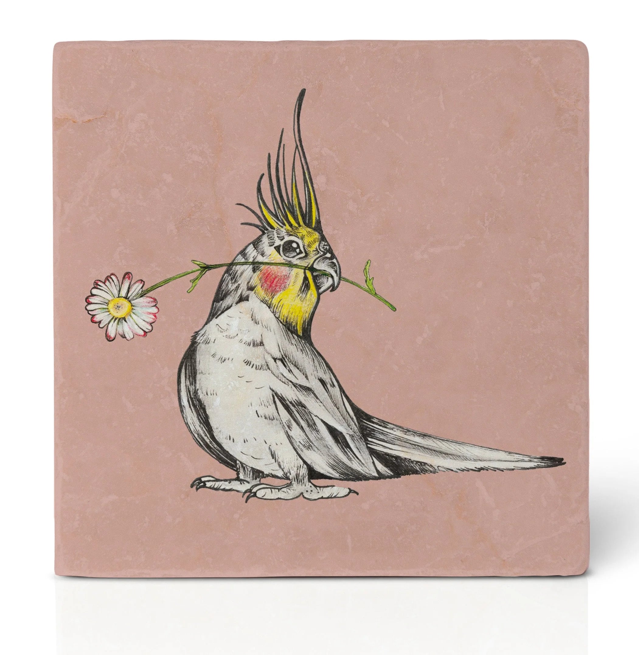 Ligarti Pfannenteller Untersetzer Blüten Sittich