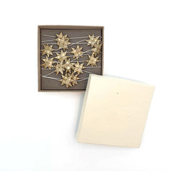 Anna Nera star garland palm tree leaves gold Xmas