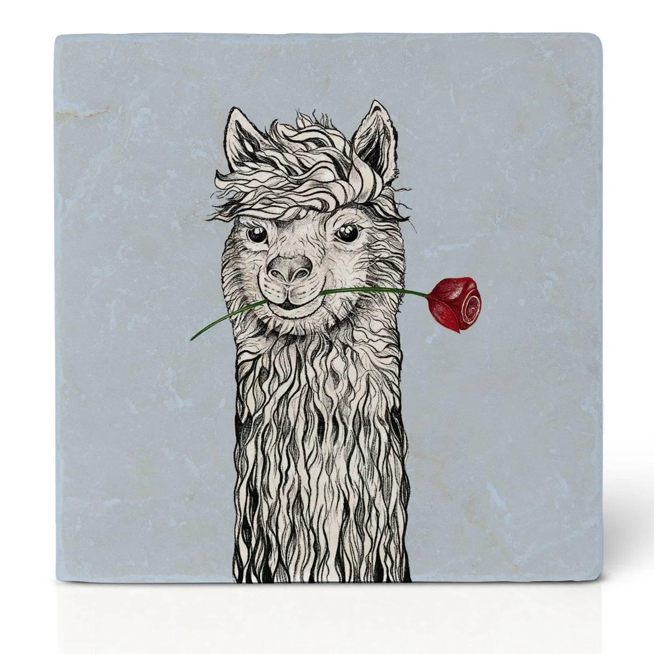 Ligarti Tile Coaster Frank