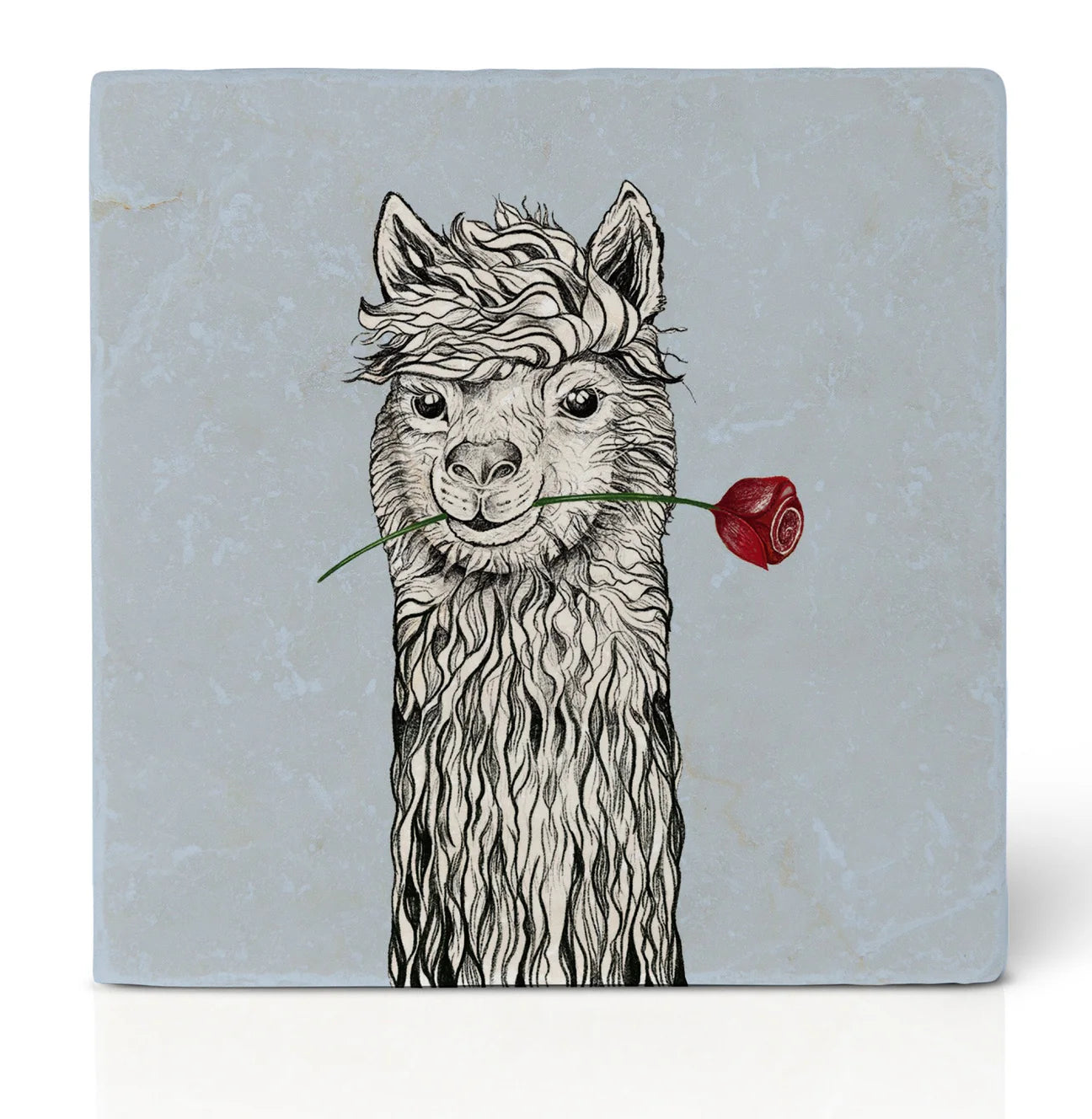 Ligarti Tile Coaster Frank