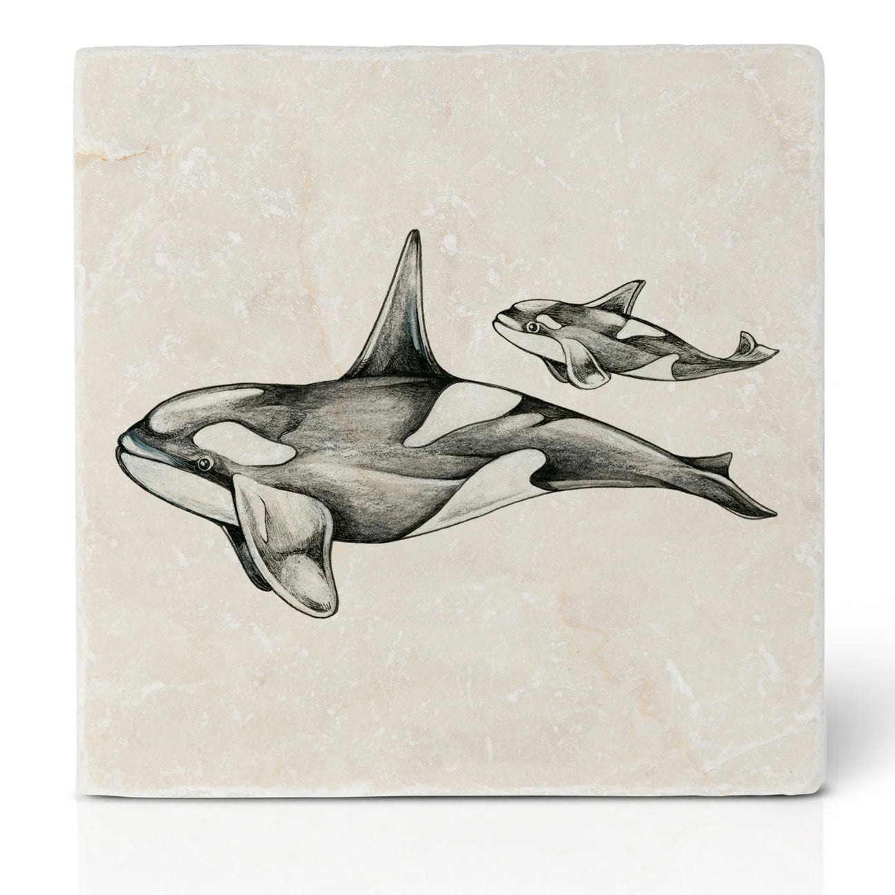 Ligarti Tile Coaster Orcas