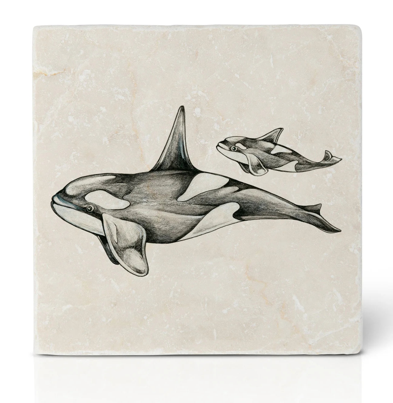 Ligarti Tile Coaster Orcas