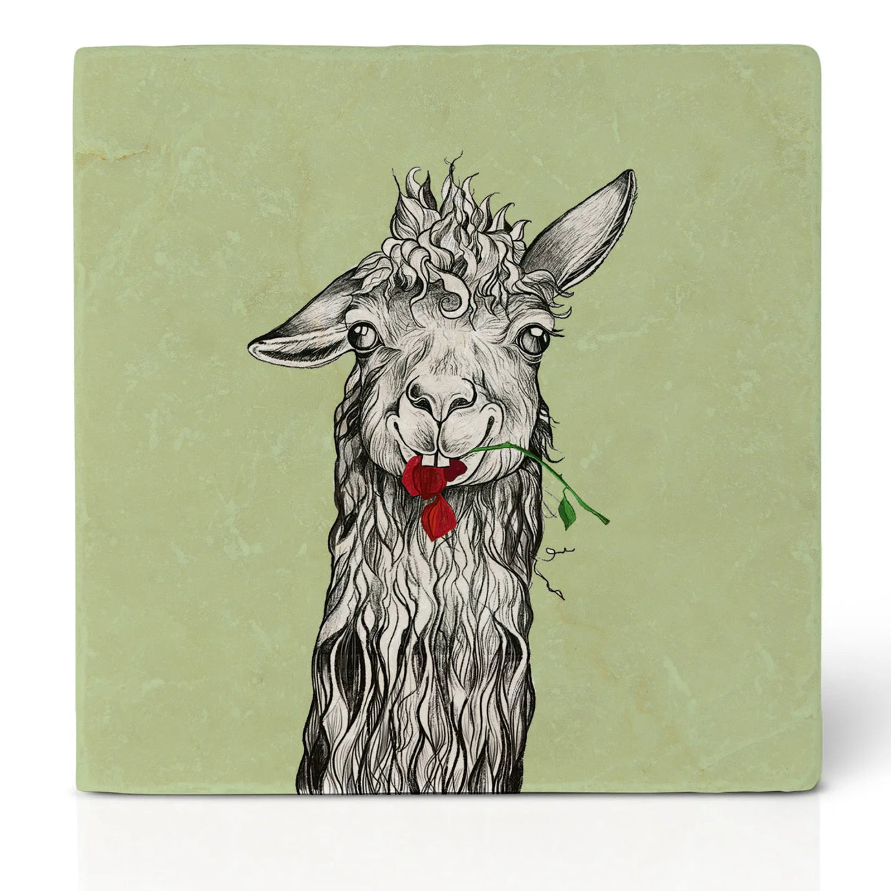 Ligarti Tile Coaster Steven