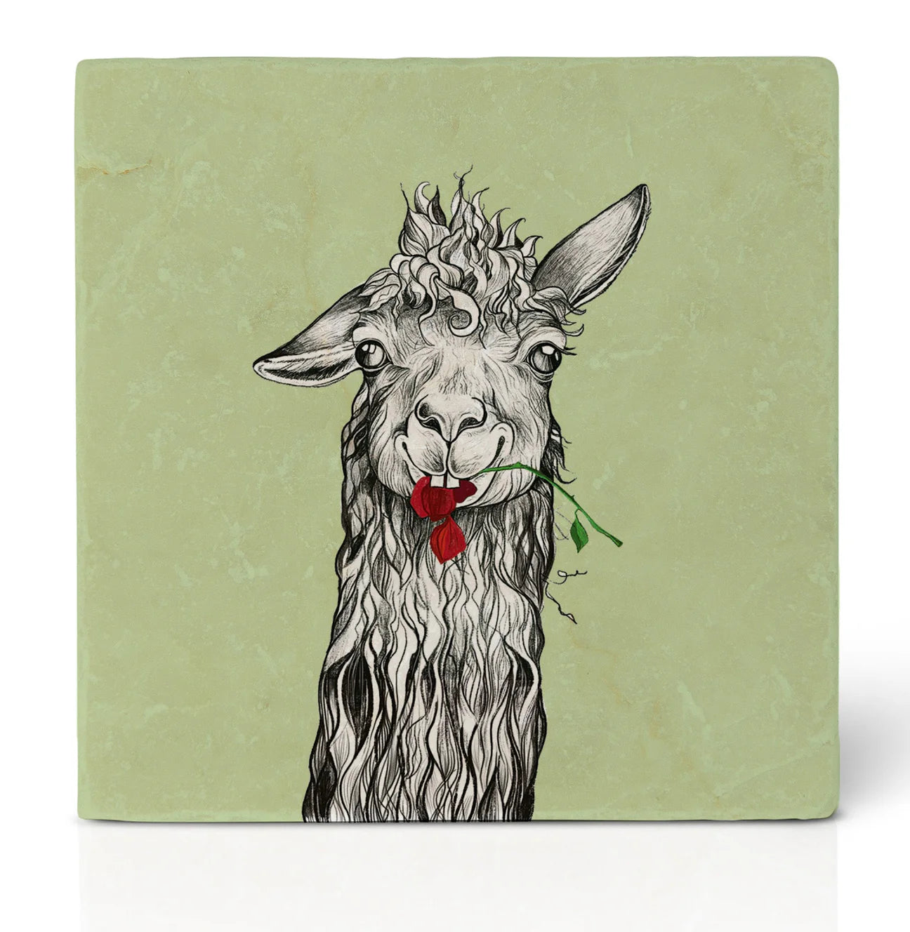 Ligarti Tile Coaster Steven