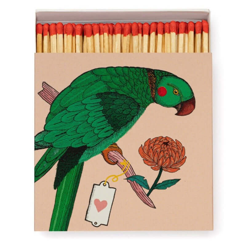 Archivist Gallery square matches matchbox letterpress luciferdoos lucifers Ariane Butto parrot papegaai
