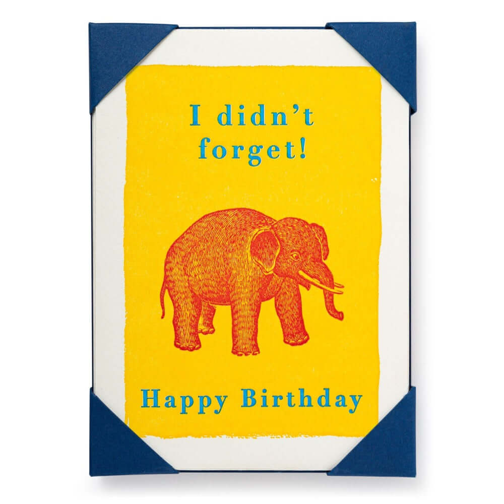 Archivist Gallery wenskaarten 5 envelop happy birthday fijne verjaardag olifant elephant