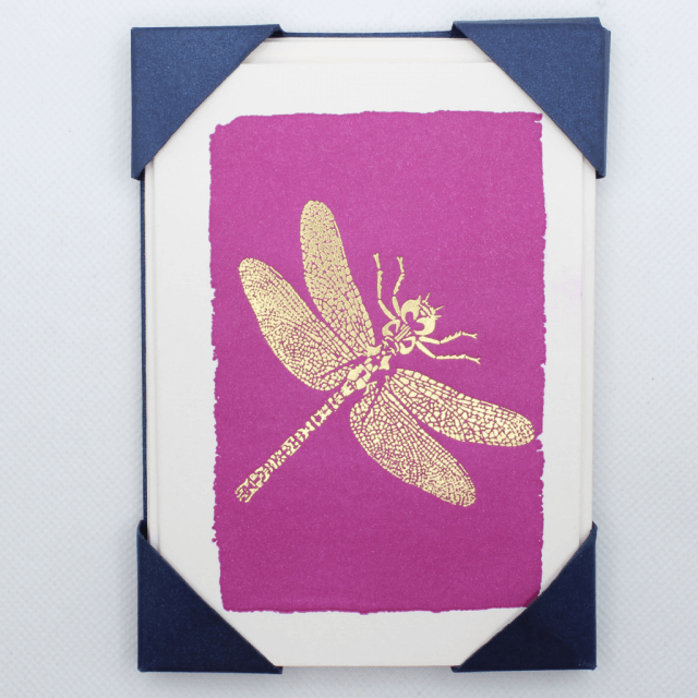 Set of Cards Archivist Gallery Dragonfly