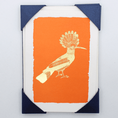 Orange Hoopoe Greeting Cards Wenskaarten 